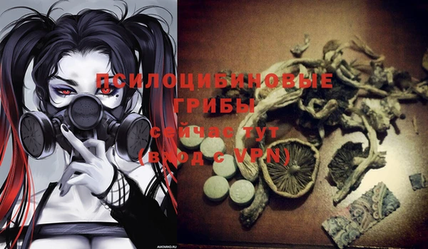 метадон Абаза