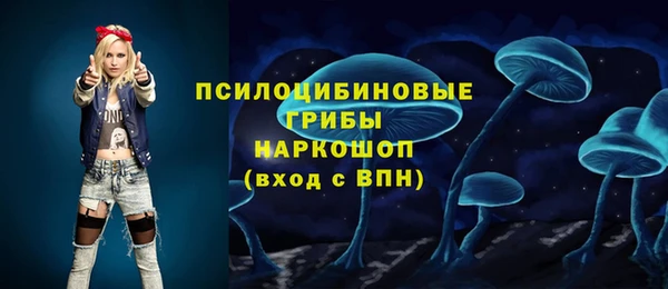 тгк Абинск