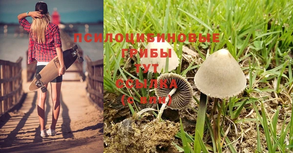 MESCALINE Михайлов