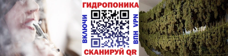Марихуана планчик  как найти закладки  Щучье 